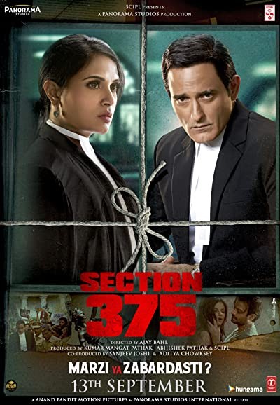 Section 375 (2019) afişi Section 375 (2019) afişi