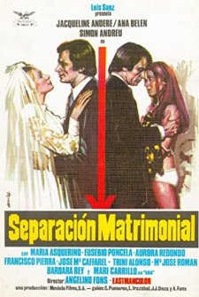 Separación Matrimonial (1973) afişi