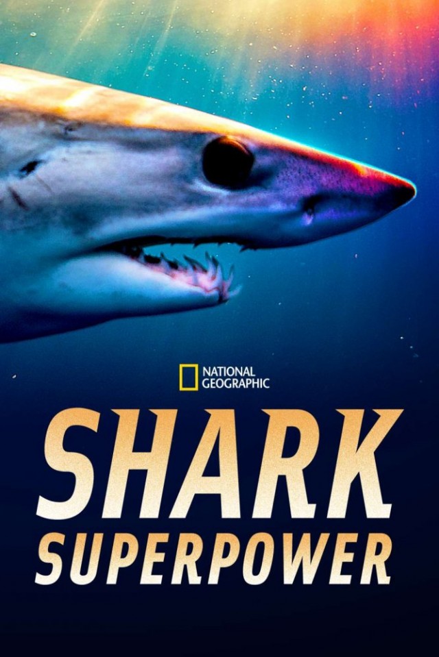 Shark Superpower (2022) afişi Shark Superpower (2022) afişi
