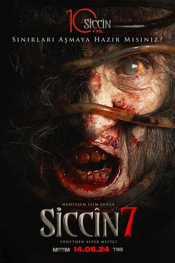 Siccin 7 (2024) afişi Siccin 7 (2024) afişi