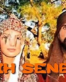 Şıh Senem (2003) afişi