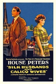Silk Husbands And Calico Wives