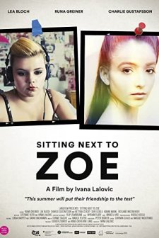 Sitting Next to Zoe (2013) afişi