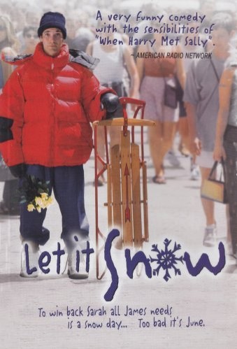 Snow Days (1999) afişi Snow Days (1999) afişi