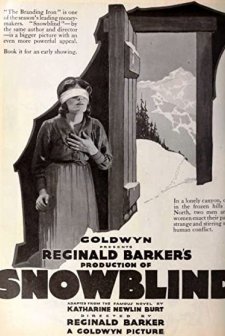 Snowblind (1921) afişi