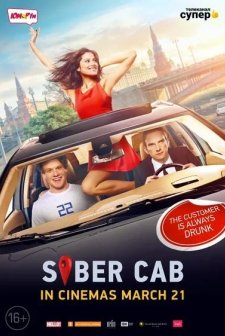 Sober Driver (2019) afişi