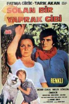 Solan Bir Yaprak Gibi (1971) afişi