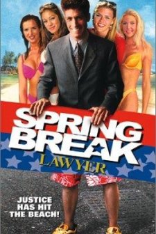 Spring Break Lawyer (2001) afişi