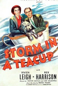 Storm In A Teacup (1937) afişi