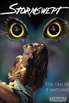 Stormswept (1995) afişi