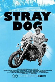 Stray Dog (2014) afişi