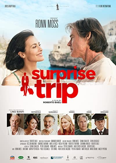 Surprise Trip (2022) afişi Surprise Trip (2022) afişi
