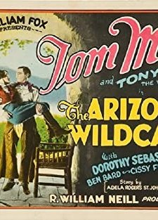 The Arizona Wildcat (1927) afişi