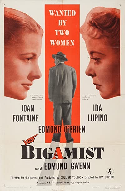 The Bigamist (1953) afişi The Bigamist (1953) afişi