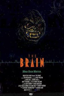 The Brain