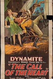 The Call of the Heart (1928) afişi
