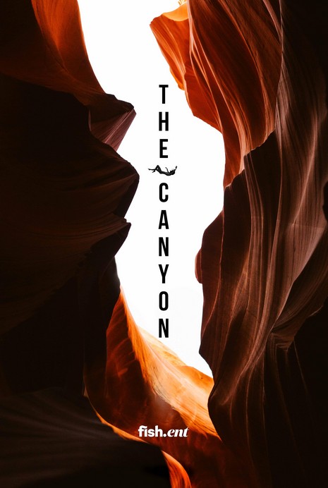 The Canyon afişi