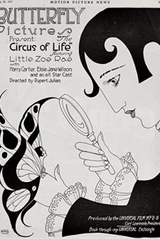 The Circus Of Life