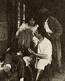 The Diamond Of Disaster (1914) afişi