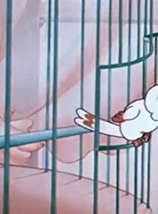 The Discontented Canary (1934) afişi