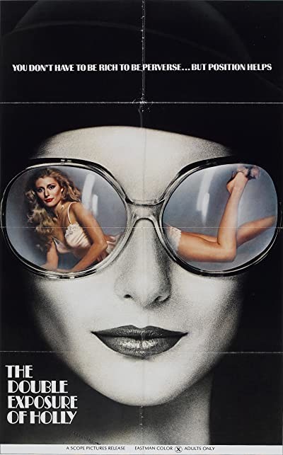 The Double Exposure Of Holly (1976) afişi The Double Exposure Of Holly (1976) afişi