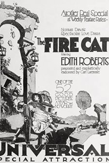 The Fire Cat (1921) afişi