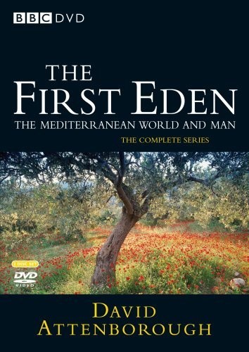 The First Eden (1987) afişi The First Eden (1987) afişi