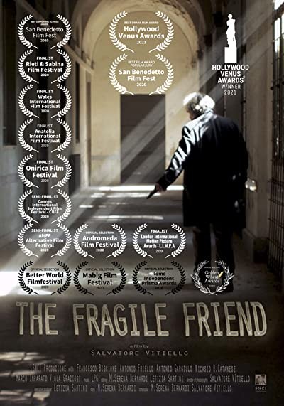 The Fragile Friend (2018) afişi The Fragile Friend (2018) afişi