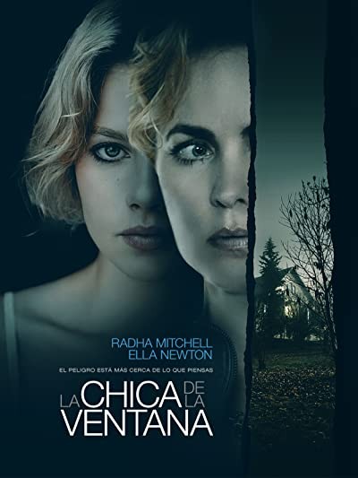 The Girl at the Window (2022) afişi The Girl at the Window (2022) afişi