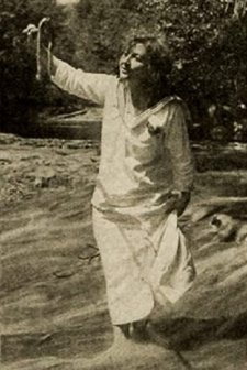 The Heart Of The Night Wind