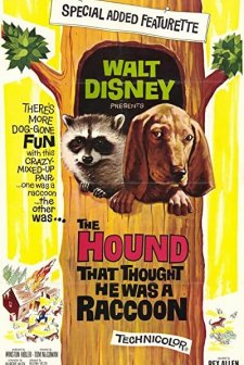 The Hound That Thought He Was A Raccoon (1960) afişi