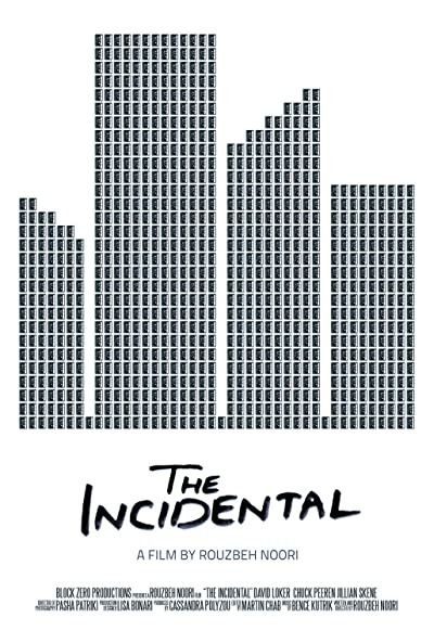 The Incidental (2013) afişi The Incidental (2013) afişi