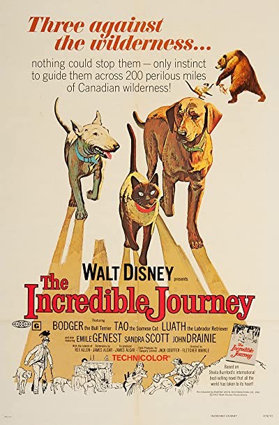 The ıncredible Journey (1963) afişi The ıncredible Journey (1963) afişi