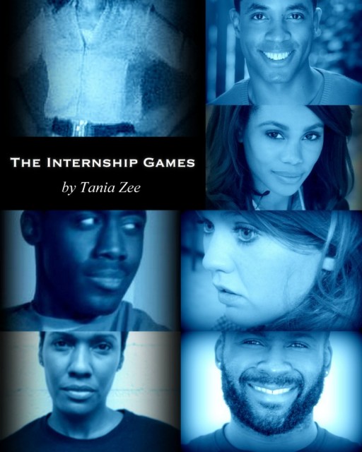 The Internship Games (2014) afişi The Internship Games (2014) afişi