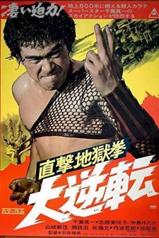 The Karate Inferno (1974) afişi