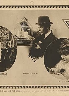 The Lily And The Rose (1915) afişi