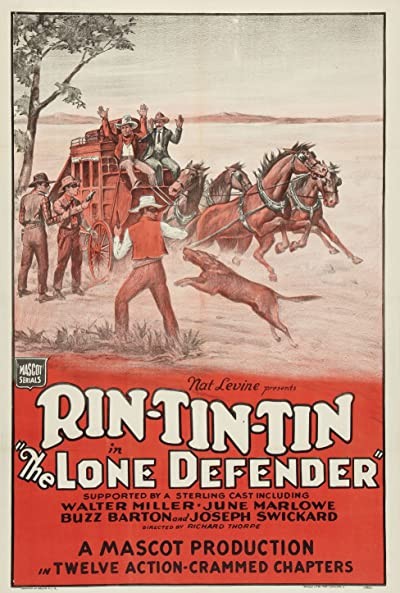 The Lone Defender (1930) afişi The Lone Defender (1930) afişi