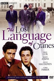 The Lost Language Of Cranes (1991) afişi