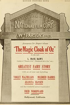 The Magic Cloak (1914) afişi