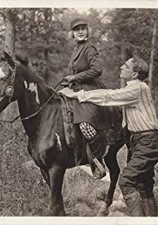 The Primitive Call (1917) afişi