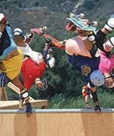 The Search For Animal Chin