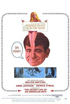 The Secret Life Of An American Wife