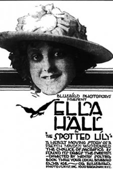 The Spotted Lily (1917) afişi