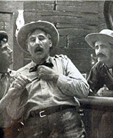 The Stage Driver's Daughter (1911) afişi