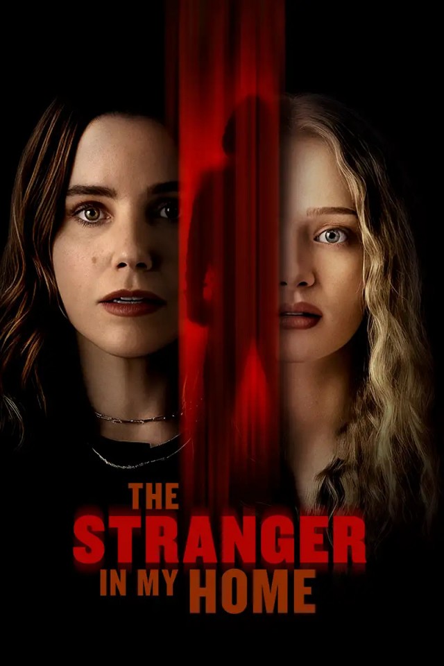 The Stranger in My Home (2025) afişi The Stranger in My Home (2025) afişi
