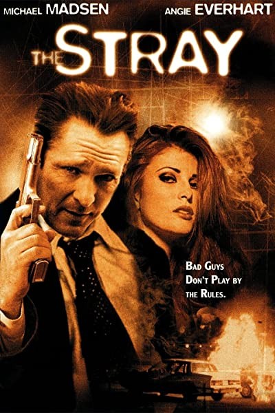 The Stray (2000) afişi
