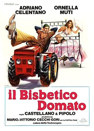 The Taming of the Scoundrel (1980) afişi