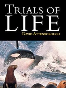 The Trials Of Life (1990) afişi