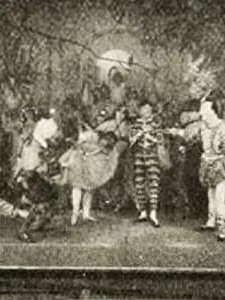 The Two Columbines (1914) afişi