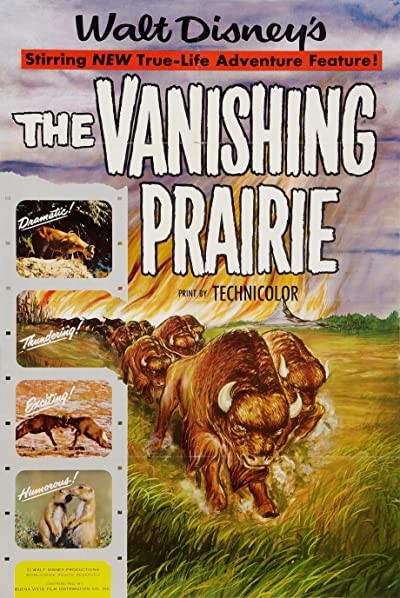 The Vanishing Prairie (1954) afişi The Vanishing Prairie (1954) afişi